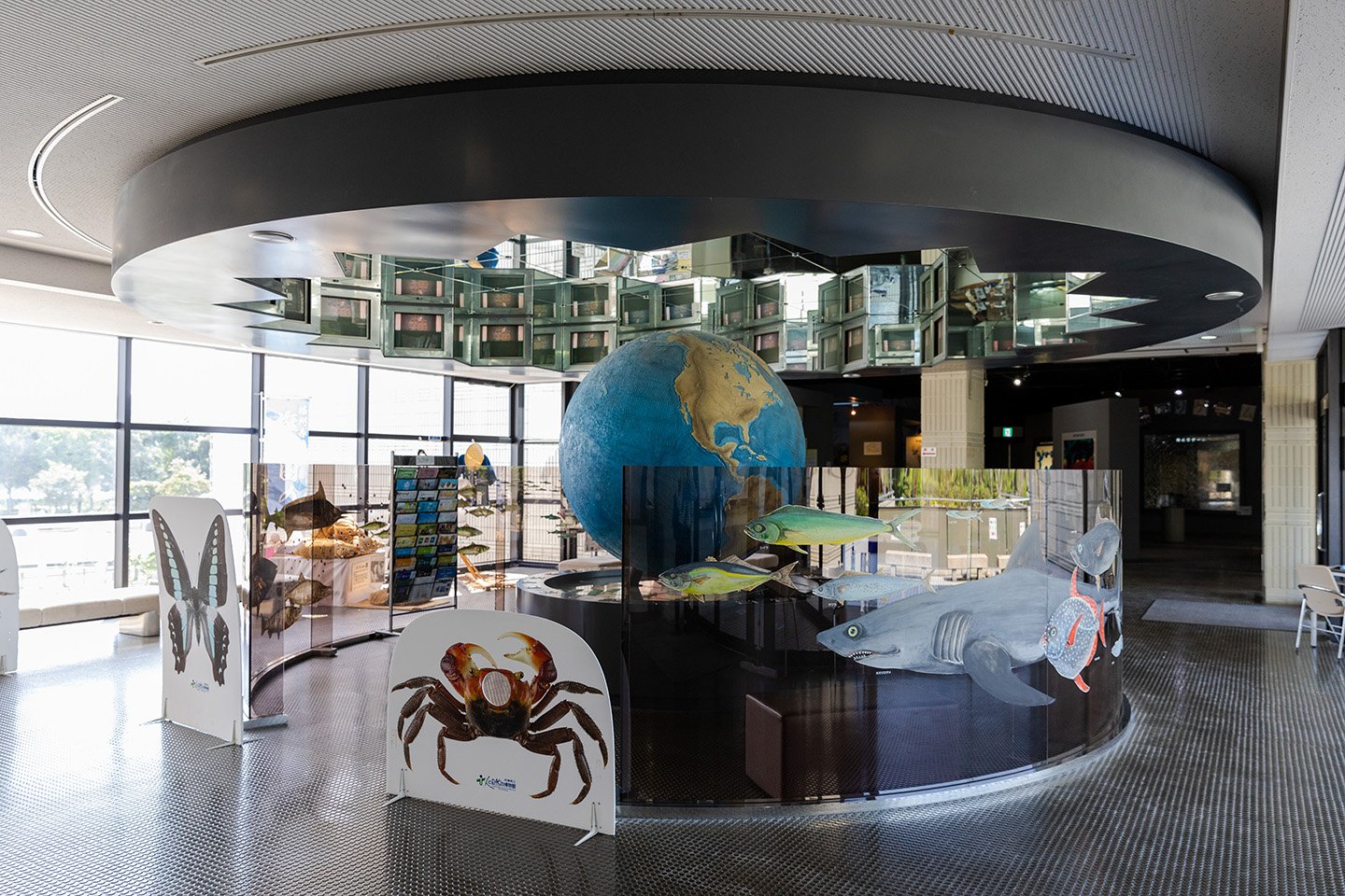 🏞️ 효고 현립 아코 해변공원 (효고켄리츠 아코카이힌코엔) 이미지 6